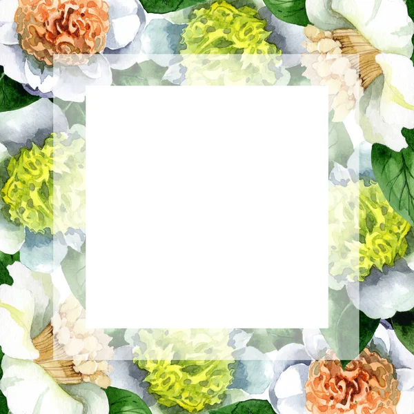 Fleurs de camélia blanc avec des feuilles vertes isolées sur blanc. Ensemble d'illustration de fond aquarelle. Cadre bordure ornement avec espace de copie . — Photo de stock