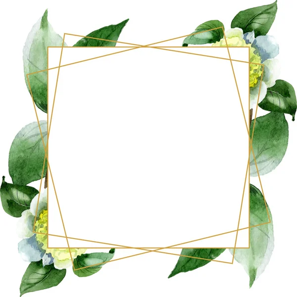 White camellia flowers with green leaves isolated on white. Watercolor background illustration set. Frame border ornament with copy space. — Stock Photo