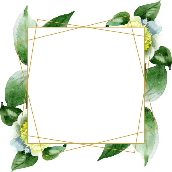 Flores de camelia blanca con hojas verdes aisladas en blanco. Conjunto de ilustración de fondo acuarela. Marco ornamento borde con espacio de copia . - foto de stock