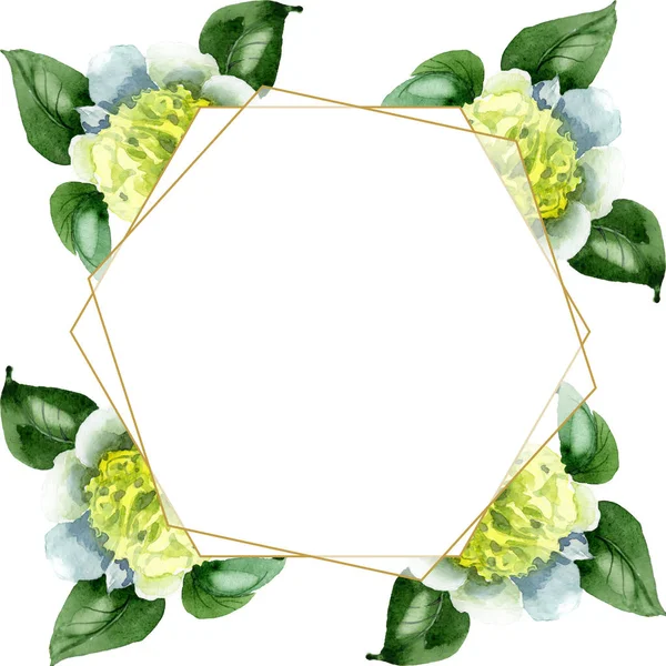 White camellia flowers with green leaves isolated on white. Watercolor background illustration set. Frame border ornament with copy space. — Stock Photo