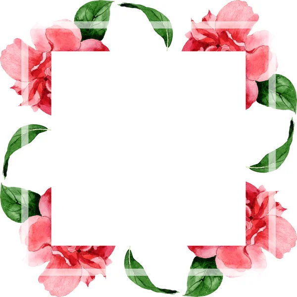 Rosafarbene Kamelienblüten mit grünen Blättern auf weißem Grund. Aquarell Hintergrundillustration Set. Rahmen-Bordüre mit Kopierraum. — Stockfoto