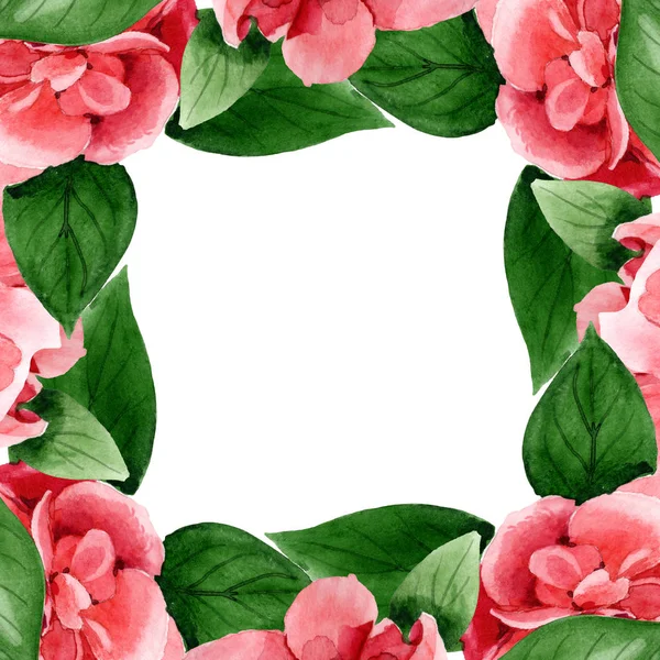 Fiori di camelia rosa con foglie verdi isolate su bianco. Acquerello sfondo illustrazione set. Ornamento bordo cornice con spazio copia . — Foto stock