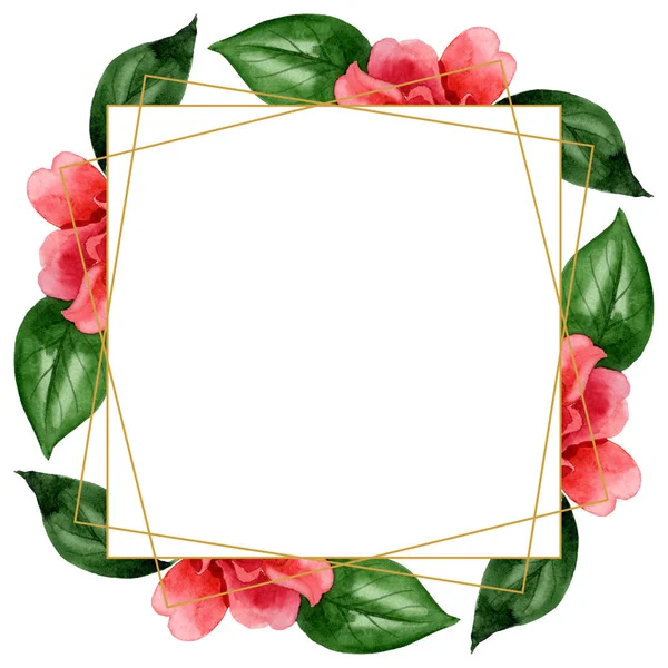 Fiori di camelia rosa con foglie verdi isolate su bianco. Acquerello sfondo illustrazione set. Ornamento bordo cornice con spazio copia . — Foto stock