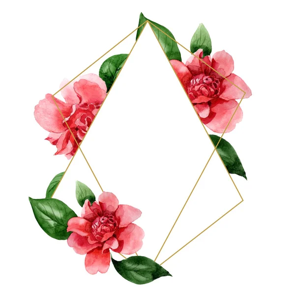 Flores de camélia rosa com folhas verdes isoladas em branco. Conjunto de ilustração de fundo aquarela. Ornamento de borda de quadro com espaço de cópia . — Fotografia de Stock
