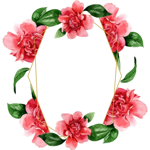 Pink camellia flowers with green leaves isolated on white. Watercolor background illustration set. Frame border ornament with copy space. — Stock Photo