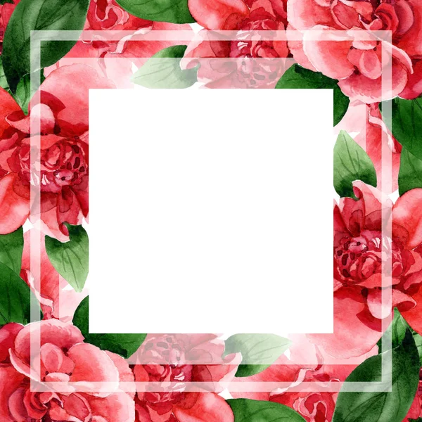 Flores de camelia rosa con hojas verdes aisladas en blanco. Conjunto de ilustración de fondo acuarela. Marco ornamento borde con espacio de copia . - foto de stock