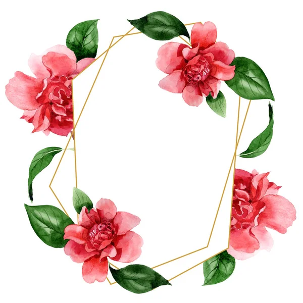 Pink camellia flowers with green leaves isolated on white. Watercolor background illustration set. Frame border ornament with copy space. — Stock Photo