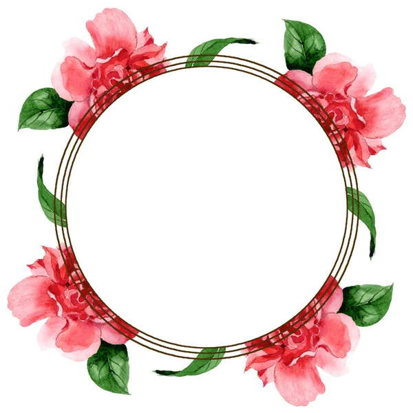 Fiori di camelia rosa con foglie verdi isolate su bianco. Acquerello sfondo illustrazione set. Ornamento bordo cornice con spazio copia . — Stock Photo