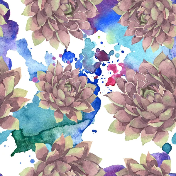 Succulento fiore botanico floreale. Fiordaliso selvatico. Set illustrazione acquerello. Acquerello disegno moda acquerello. Modello di sfondo senza soluzione di continuità. Tessuto carta da parati stampa texture . — Foto stock