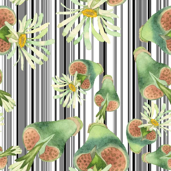 Sukkulente florale botanische Blume. wilde Frühlingsblume. Aquarell-Illustrationsset vorhanden. Aquarell zeichnen Mode-Aquarell. nahtlose Hintergrundmuster. Stoff Tapete drucken Textur. — Stockfoto