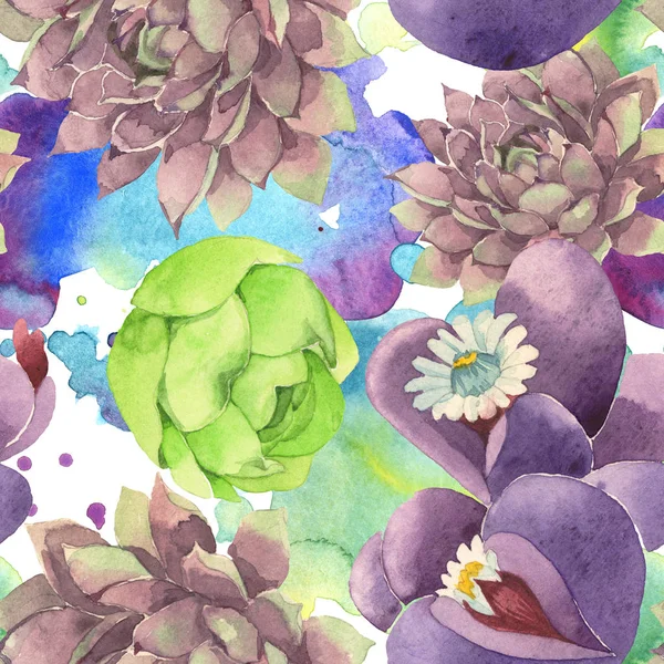 Succulent floral botanical flower. Wild spring leaf wildflower. Watercolor illustration set. Watercolour drawing fashion aquarelle. Seamless background pattern. Fabric wallpaper print texture. — Stock Photo