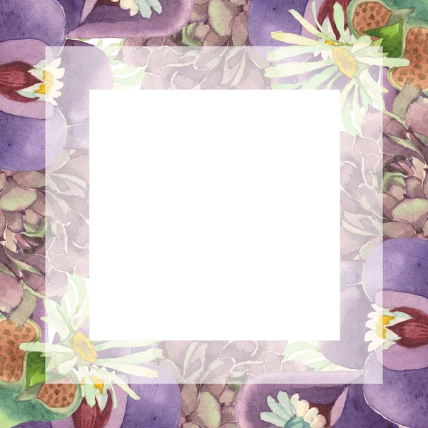 Succulento fiore botanico floreale. Fiore selvatico primaverile isolato. Acquerello sfondo illustrazione set. Acquerello disegno moda acquerello isolato. Quadrato ornamento bordo cornice . — Foto stock