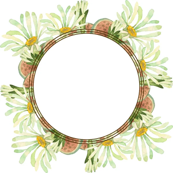 Succulent floral botanical flower. Wild spring leaf wildflower isolated. Watercolor background illustration set. Watercolour drawing fashion aquarelle isolated. Frame border ornament square. — Stock Photo
