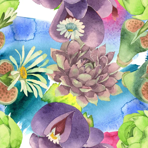 Sukkulente florale botanische Blume. wilde Frühlingsblume. Aquarell-Illustrationsset vorhanden. Aquarell zeichnen Mode-Aquarell. nahtlose Hintergrundmuster. Stoff Tapete drucken Textur. — Stockfoto