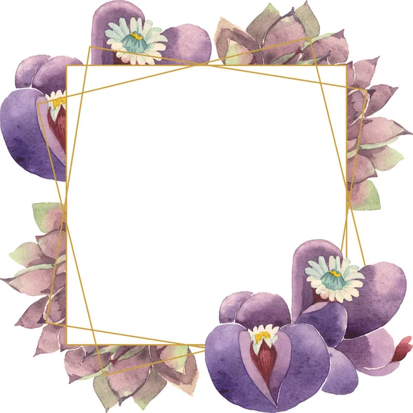 Flor botânica floral suculenta. Folha selvagem primavera wildflower isolado. Conjunto de ilustração de fundo aquarela. Aquarelle desenho aquarelle moda. Quadro borda cristal ornamento quadrado . — Fotografia de Stock