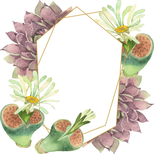 Succulent floral botanical flower. Wild spring leaf wildflower isolated. Watercolor background illustration set. Watercolour drawing fashion aquarelle. Frame border crystal ornament square. — Stock Photo