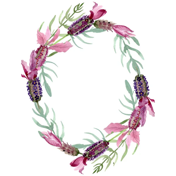 Fiori botanici floreali viola lavanda. Acquerello sfondo illustrazione set. Quadrato ornamento bordo cornice . — Foto stock