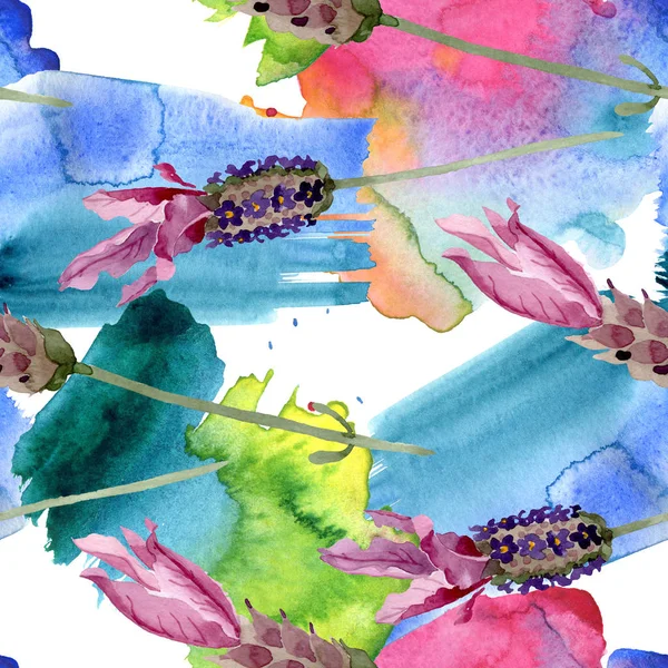 Фиолетовый лаванды цветочные ботанические цветы. Набор акварельных фонов. Бесшовный рисунок фона . — стоковое фото