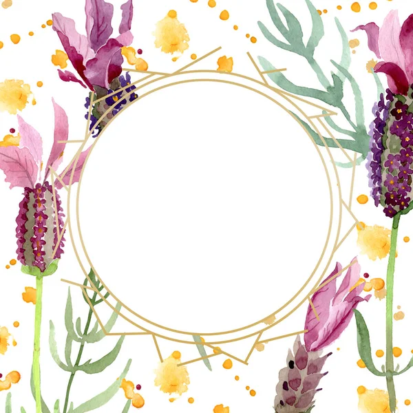 Lila Lavendel blühende botanische Blumen. Aquarell Hintergrundillustration Set. Rahmen Rand Ornament Quadrat. — Stockfoto