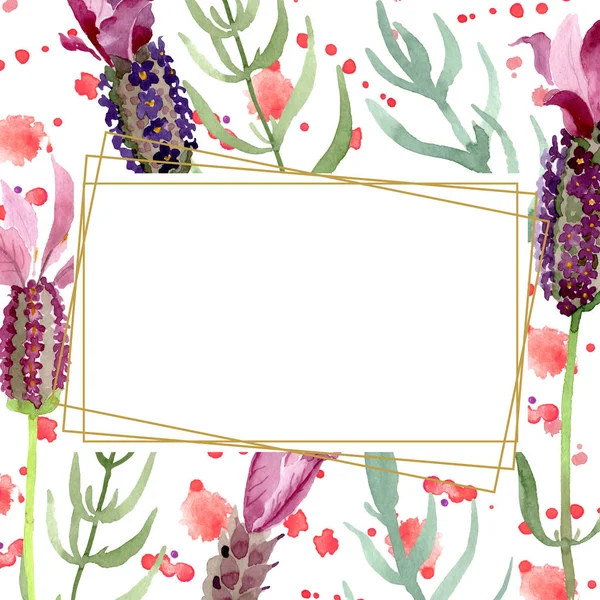 Lila Lavendel blühende botanische Blumen. Aquarell Hintergrundillustration Set. Rahmen Rand Ornament Quadrat. — Stockfoto