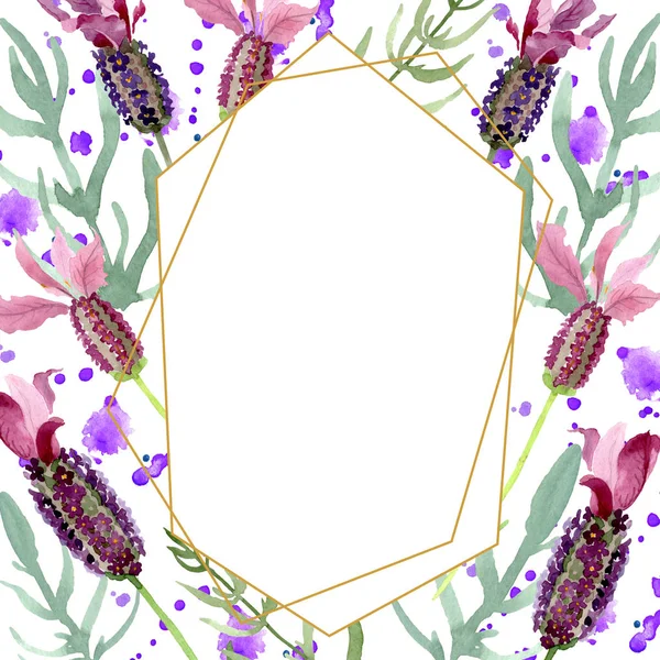 Purple lavanda flores botánicas florales. Conjunto de ilustración de fondo acuarela. Marco borde ornamento cuadrado . - foto de stock