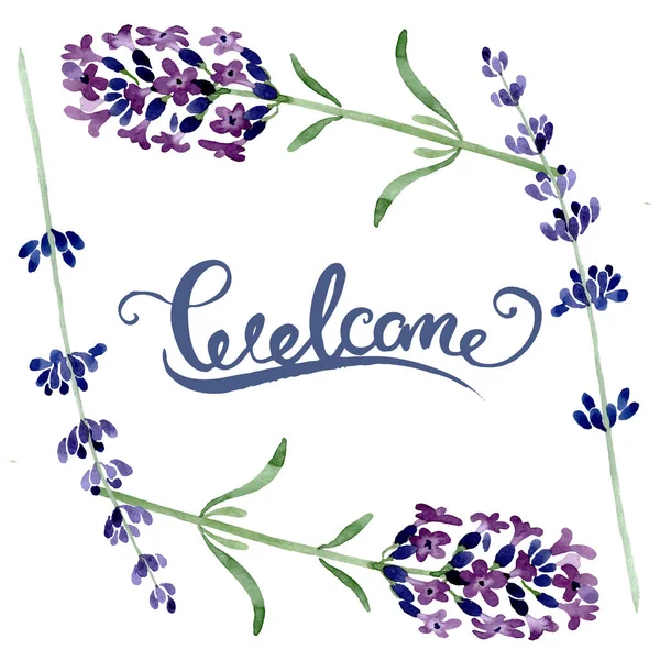 Violettem Lavendel florale botanische Blume. Aquarell Hintergrundillustration Set. Rahmen Rand Ornament Quadrat. — Stockfoto