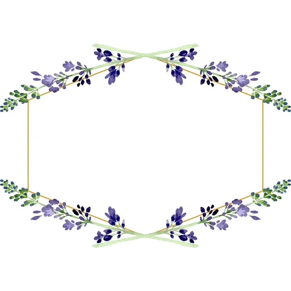 Violettem Lavendel florale botanische Blume. Aquarell Hintergrundillustration Set. Rahmen Rand Ornament Quadrat. — Stockfoto