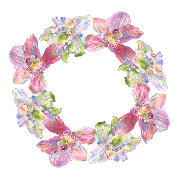 Fiori botanici floreali del Orchid. Acquerello sfondo illustrazione set. Quadrato ornamento bordo cornice . — Foto stock