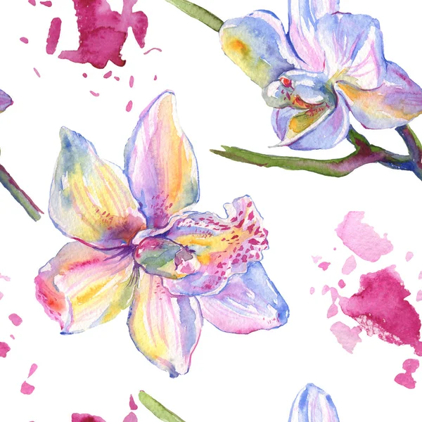 Fiori botanici floreali del Orchid. Acquerello sfondo illustrazione set. Modello di sfondo senza soluzione di continuità . — Foto stock
