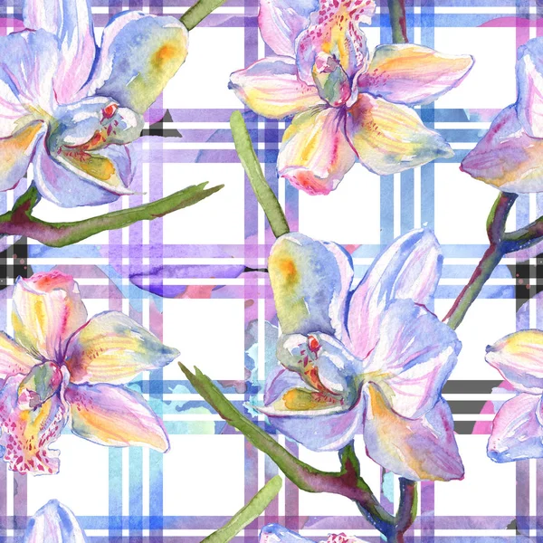 Orquídea flores botánicas florales. Conjunto de ilustración de fondo acuarela. Patrón de fondo sin costuras . - foto de stock