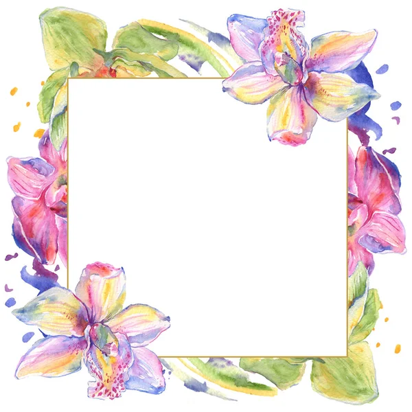 Fiori botanici floreali del Orchid. Acquerello sfondo illustrazione set. Quadrato ornamento bordo cornice . — Foto stock