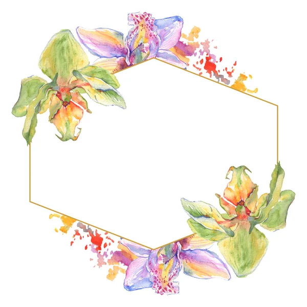 Fiori botanici floreali del Orchid. Acquerello sfondo illustrazione set. Quadrato ornamento bordo cornice . — Foto stock