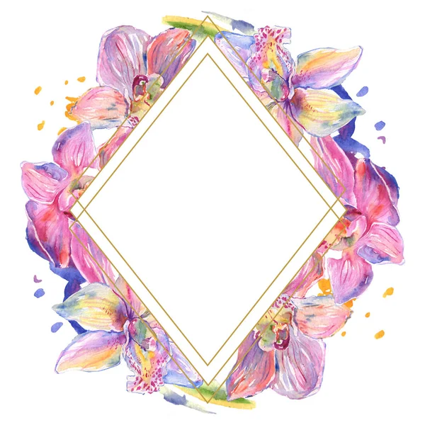 Orchid floral botanical flowers. Watercolor background illustration set. Frame border ornament square. — Stock Photo