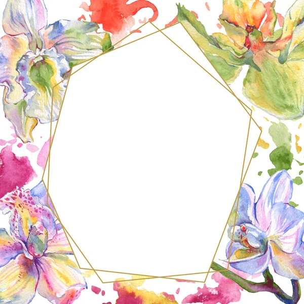 Fiori botanici floreali del Orchid. Acquerello sfondo illustrazione set. Quadrato ornamento bordo cornice . — Foto stock