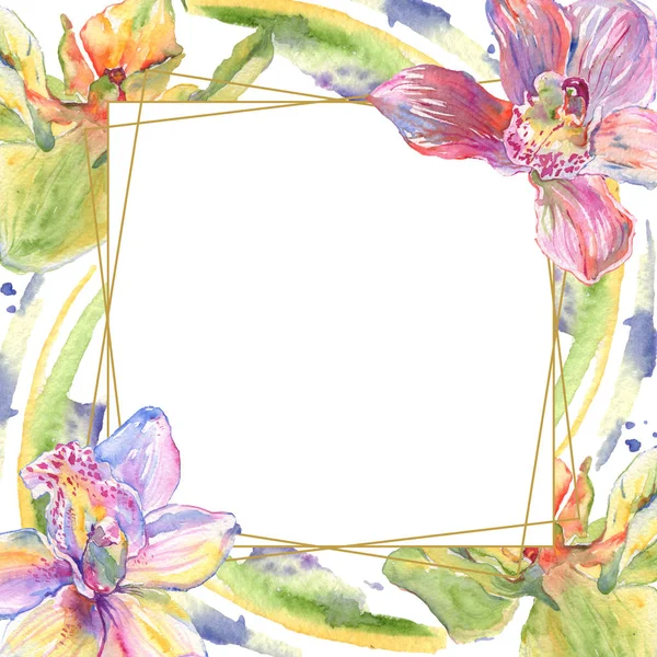 Fleurs botaniques florales d'orchidée. Ensemble d'illustration de fond aquarelle. Cadre bordure ornement carré . — Photo de stock