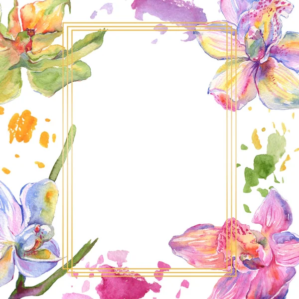 Орхидея цветочные ботанические цветы. Набор акварельных фонов. Граничный орнамент . — стоковое фото