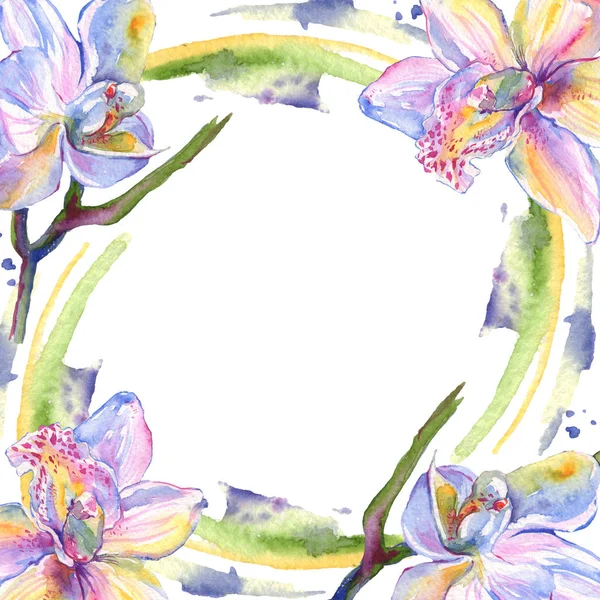 Orquídea flores botánicas florales. Conjunto de ilustración de fondo acuarela. Marco borde ornamento cuadrado . - foto de stock