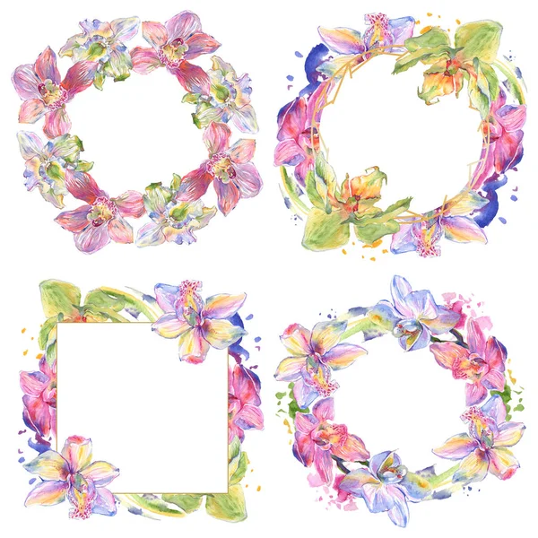 Orchid floral botanical flowers. Watercolor background illustration set. Frame border ornament square. — Stock Photo