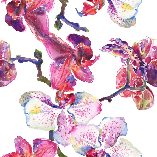 Orchid floral botanical flowers. Watercolor background illustration set. Seamless background pattern. — Stock Photo