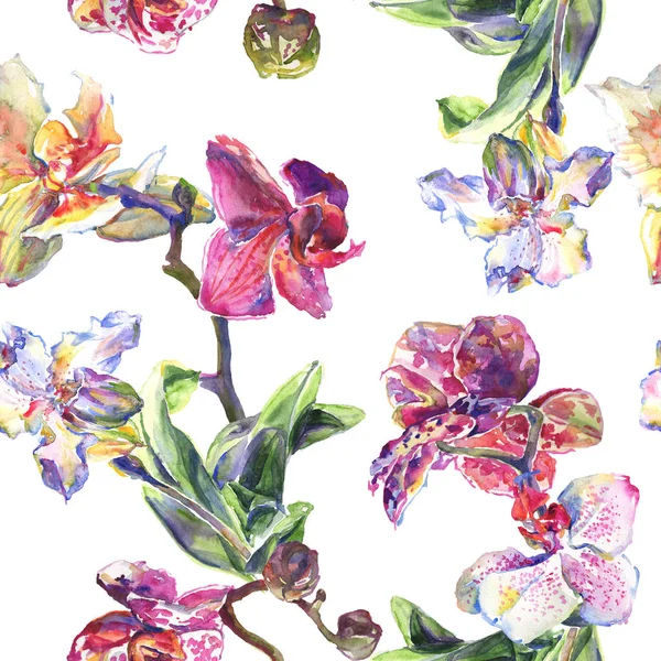 Fiori botanici floreali del Orchid. Acquerello sfondo illustrazione set. Modello di sfondo senza soluzione di continuità . — Foto stock