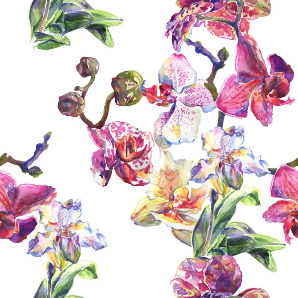 Fleurs botaniques florales d'orchidée. Ensemble d'illustration de fond aquarelle. Modèle de fond sans couture . — Photo de stock