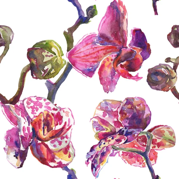 Fleurs botaniques florales d'orchidée. Ensemble d'illustration de fond aquarelle. Modèle de fond sans couture . — Photo de stock