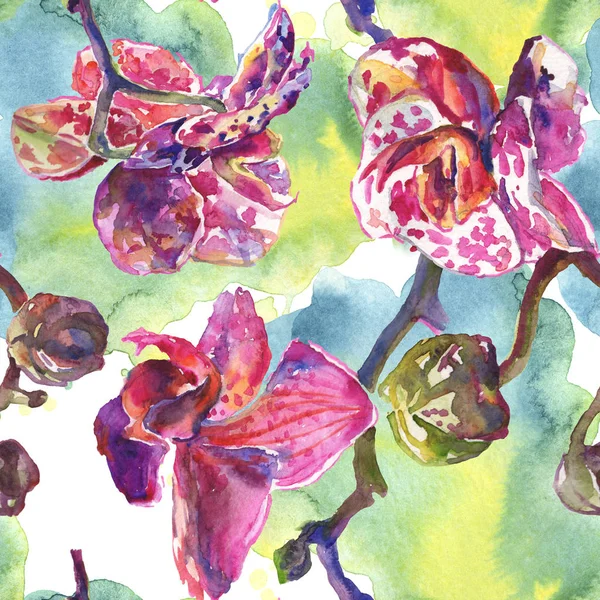 Fleurs botaniques florales d'orchidée. Ensemble d'illustration de fond aquarelle. Modèle de fond sans couture . — Photo de stock