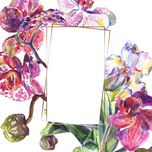 Fleurs botaniques florales d'orchidée. Ensemble d'illustration de fond aquarelle. Cadre bordure ornement carré . — Photo de stock