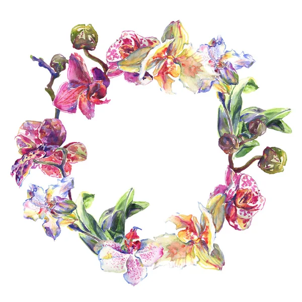 Fiori botanici floreali del Orchid. Acquerello sfondo illustrazione set. Quadrato ornamento bordo cornice . — Foto stock