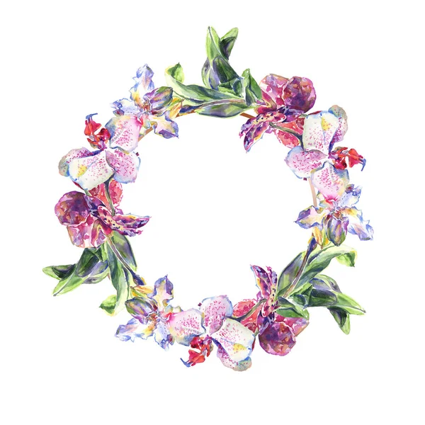 Fiori botanici floreali del Orchid. Acquerello sfondo illustrazione set. Quadrato ornamento bordo cornice . — Foto stock