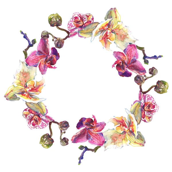 Fiori botanici floreali del Orchid. Acquerello sfondo illustrazione set. Quadrato ornamento bordo cornice . — Foto stock