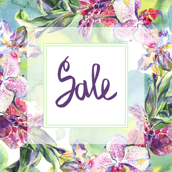 Orchid floral botanical flowers. Watercolor background illustration set. Frame border ornament square. — Stock Photo