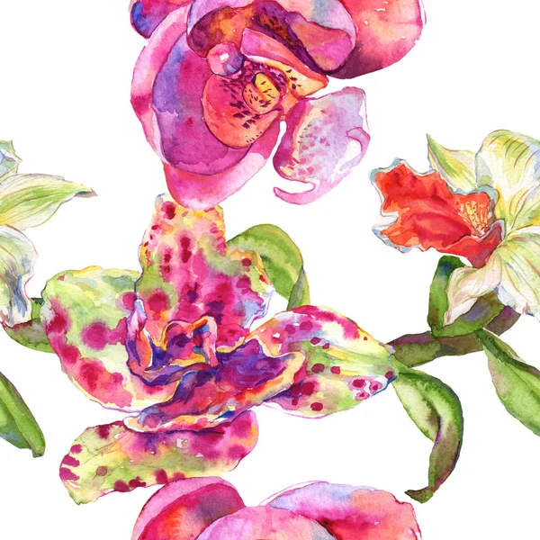 Flor botânica floral orquídea. Conjunto de ilustração de fundo aquarela. Padrão de fundo sem costura . — Fotografia de Stock