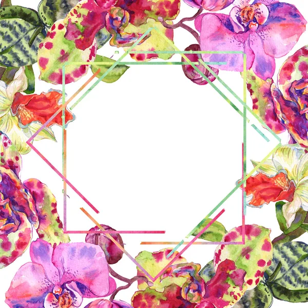 Fiore botanico floreale del Orchid. Acquerello sfondo illustrazione set. Quadrato ornamento bordo cornice . — Foto stock